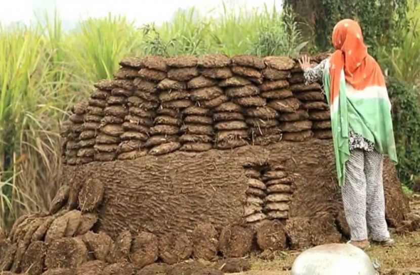 ভারতে গোবর চুরি,তদন্তে নামল পুলিশ!