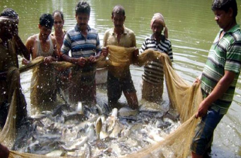 দক্ষিণ বিশিউড়া ও হালইসারকে ‘মৎস্য গ্রাম’ ঘোষণা