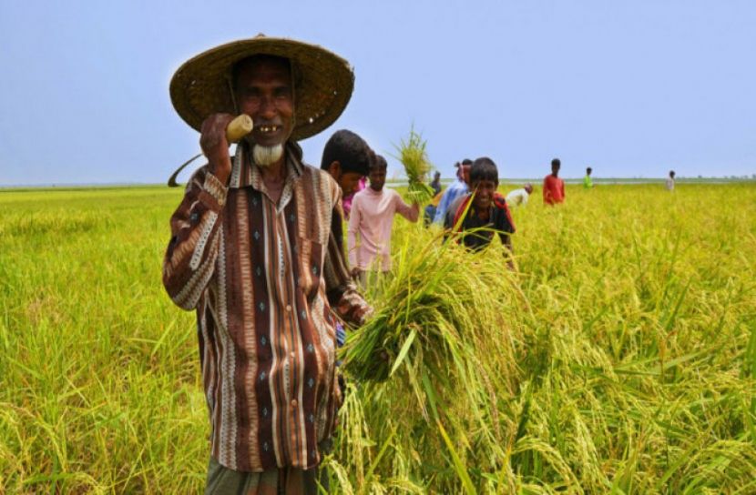 ৩২ ব্যক্তি -প্রতিষ্ঠানের হাতে বঙ্গবন্ধু জাতীয় কৃষি পুরস্কার