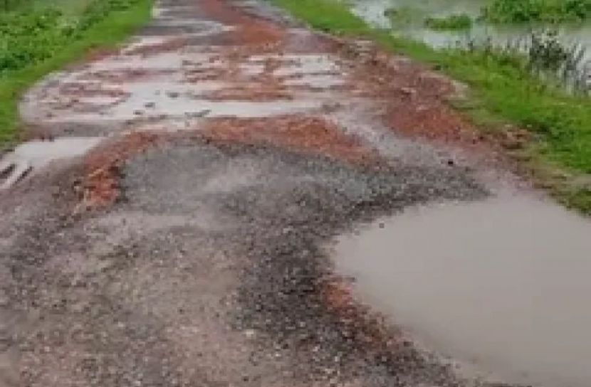বোয়ালমারীতে  রাস্তার বেহাল দশা