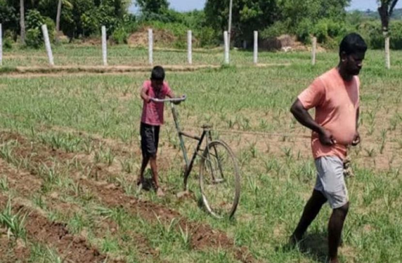 ছেলের সাইকেল দিয়ে লাঙ্গল বানালেন বাবা!