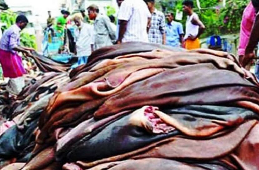 পাঁচ প্রতিষ্ঠানকে চামড়া রফতানির অনুমতি