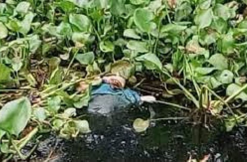 ডোবা থেকে মরদেহ উদ্ধার