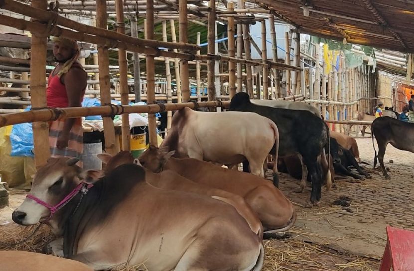 পশুর হাট ঘিরে পুলিশের চিন্তা
