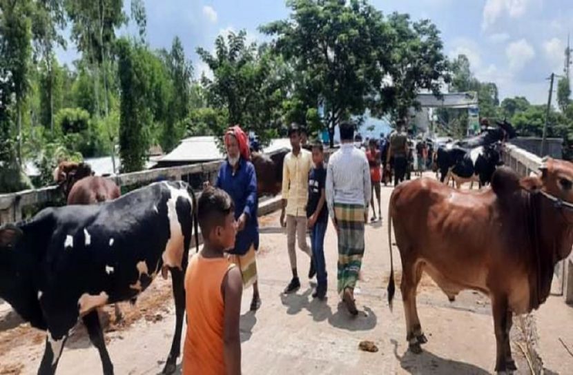 মুন্সীগঞ্জে অবৈধ পশুরহাট উচ্ছেদ 