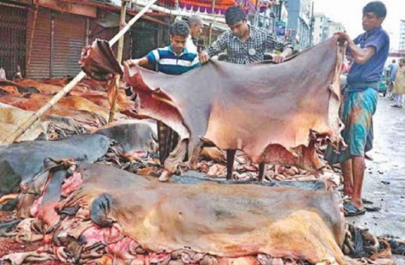 চামড়া তদারকি করতে কমিটি গঠন