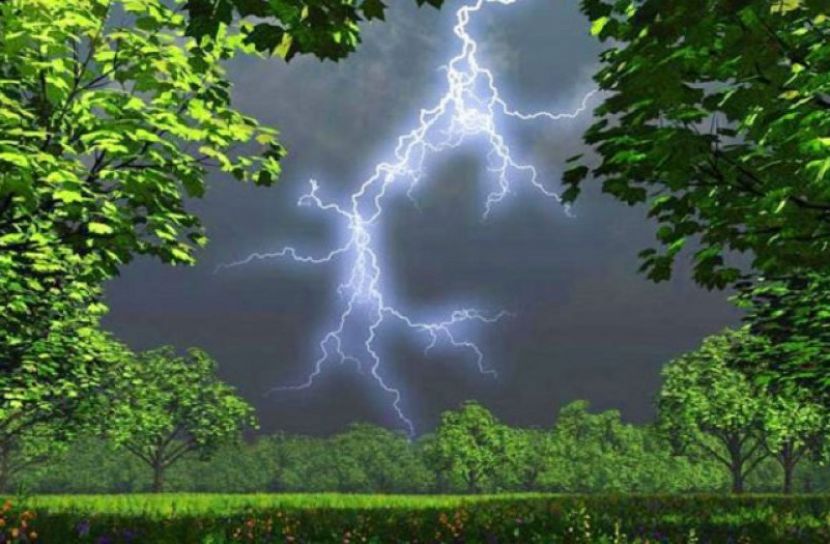 নওগাঁয় বজ্রপাতে ৩ জনের মৃত্যু 