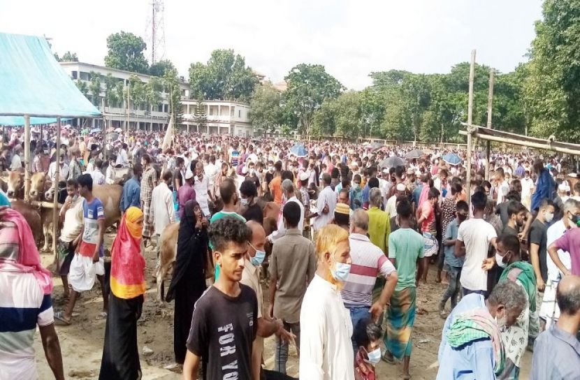 নরসিংদীতে অস্থায়ী পশুর হাটে নেই স্বাস্থ্যবিধি 