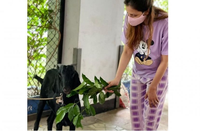 কোরবানি দিচ্ছেন মিম