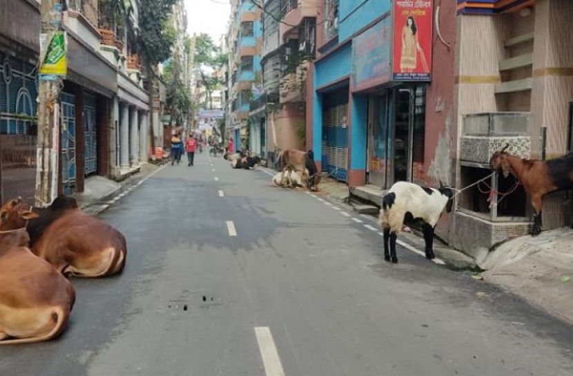 কোরবানির পশু জবাইয়ে ব্যস্ত নগরবাসী