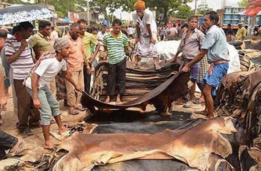 চামড়া সংগ্রহে প্রস্তুত ট্যানারি মালিকরা