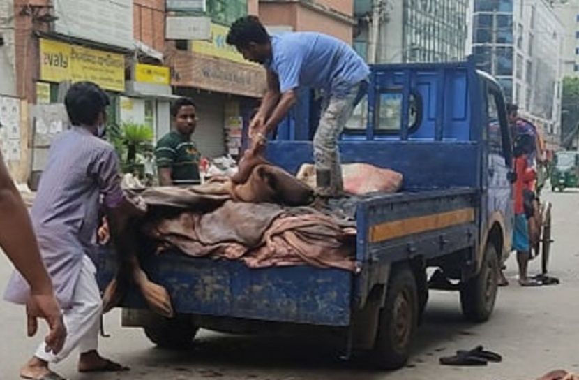 চামড়ার বাজার কিছুটা বাড়বে