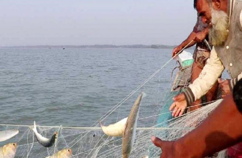 ইলিশ পেয়ে খুশি মেঘনার জেলেরা