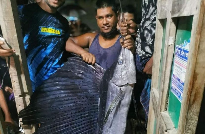 ধরা পড়লো ২২ কেজি ওজনের ‘পাখি মাছ’!