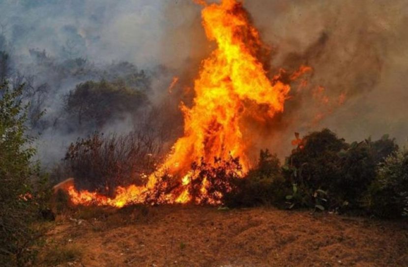 দাবানলে পুড়ছে তুরস্কের দক্ষিণাঞ্চল, নিহত ৩