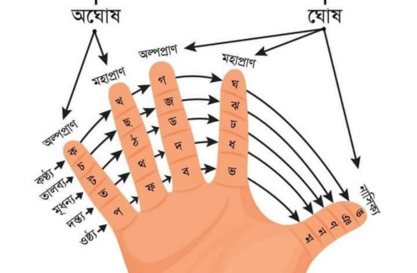 ঘোষ ও অঘোষ ধ্বনি