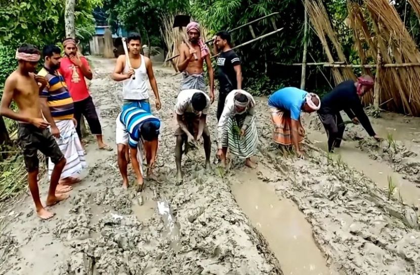 রাস্তায় ধান রোপণ করে প্রতিবাদ