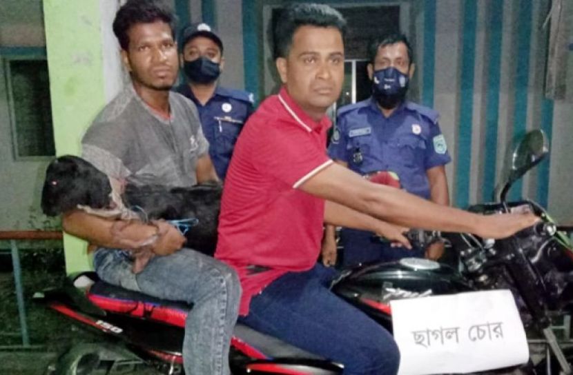 ছাগল নিয়ে পালানোর সময় ধরা খেলো দুই ভাই