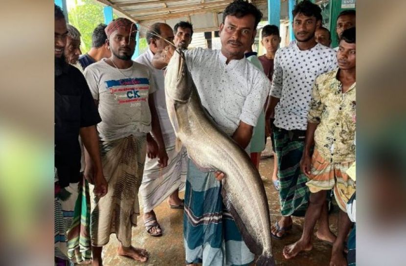 বড়শিতে ধরা পড়লো সাড়ে ৯ কেজির বোয়াল