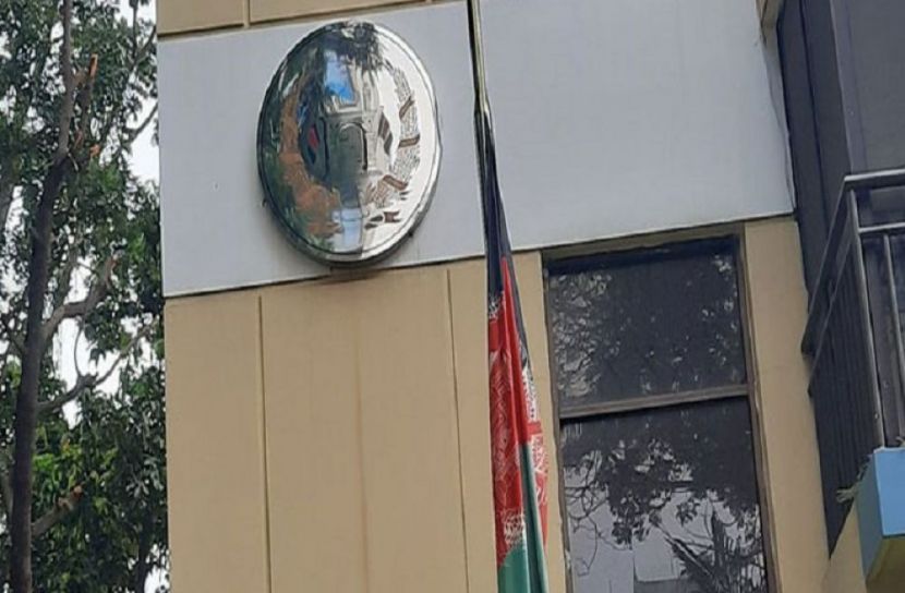 ভয়-আতঙ্ক না করে মাতৃভূমির সেবা করুন