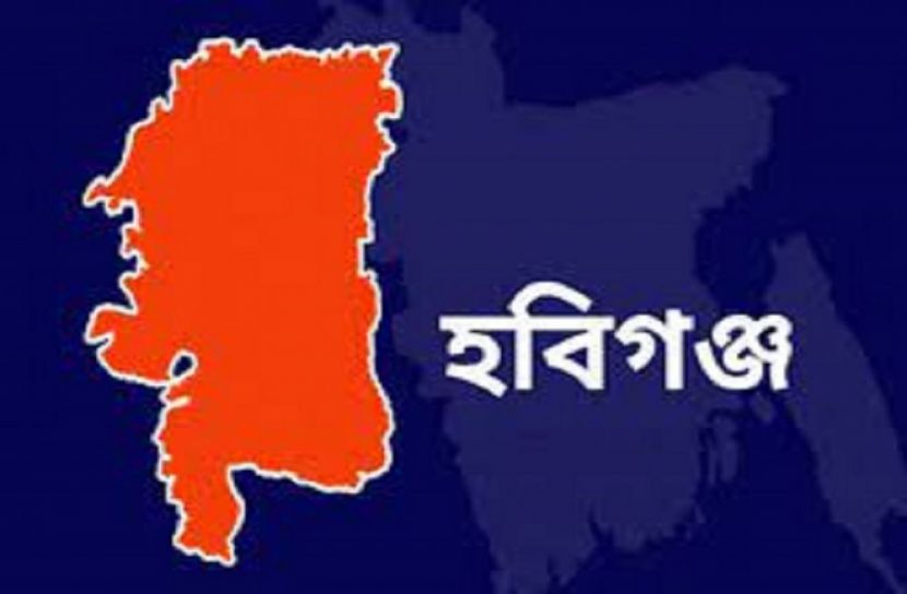 হাওরে নৌকাভ্রমণে নববধূকে গণধর্ষণ