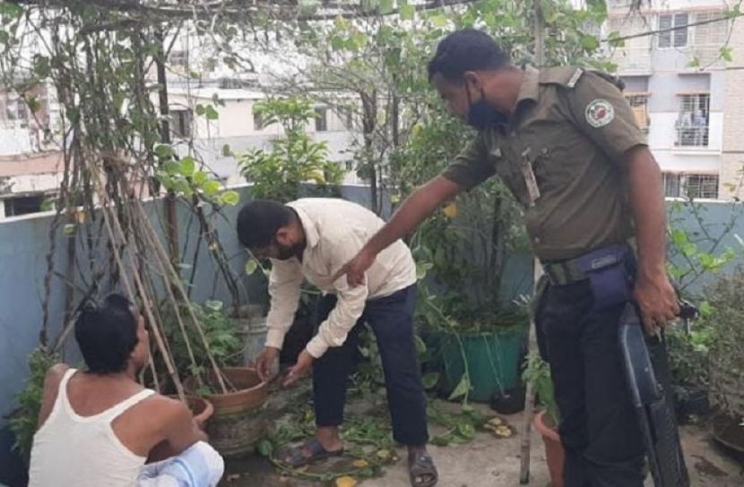 ৬ ভবনে এডিসের লার্ভা, জরিমানা