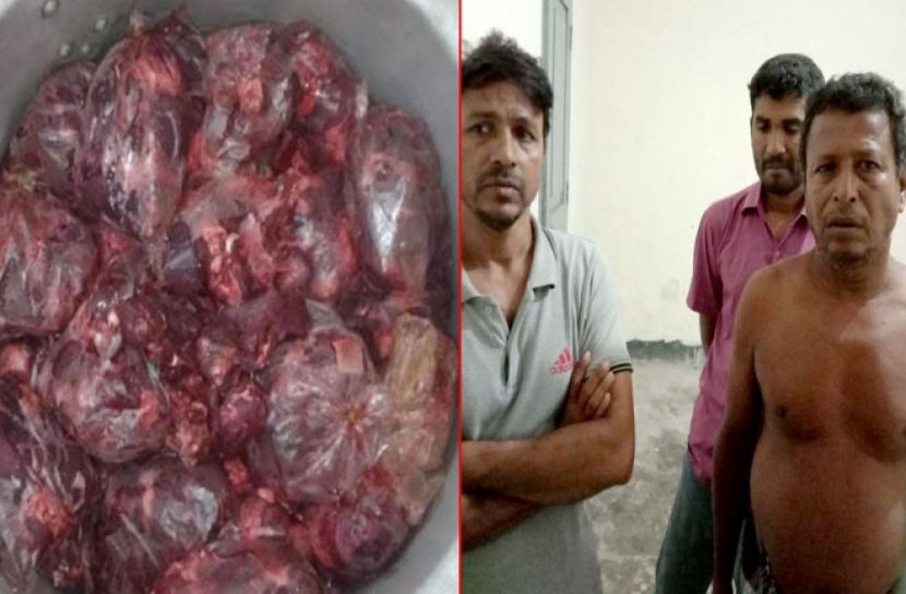 হরিণ হত্যায় গ্রেফতার ৪