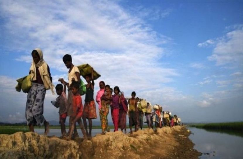 রোহিঙ্গা