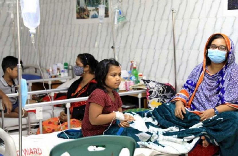 নতুন ডেঙ্গু রোগী শনাক্ত ১৬৩