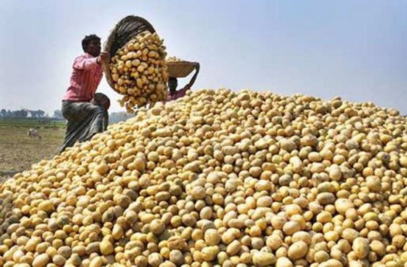 ফাইল ছবি