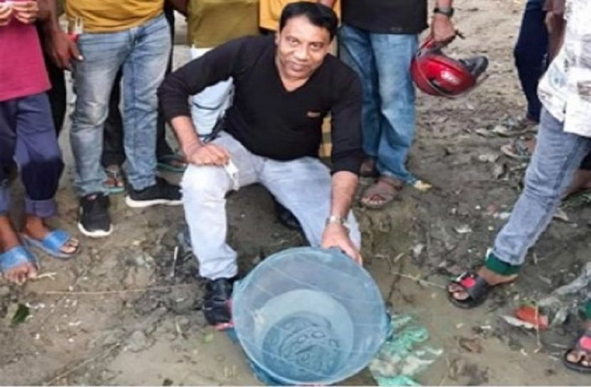 রাসেল ভাইপার