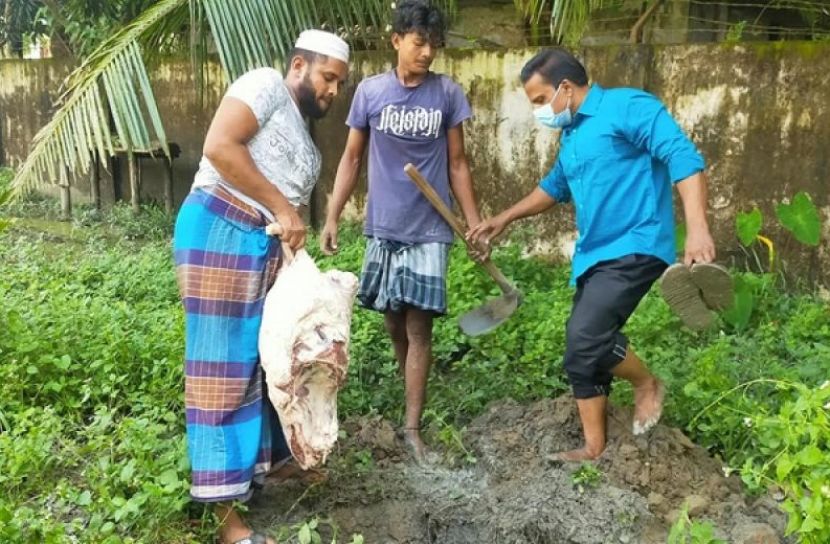 ছবি: সংগৃহীত
