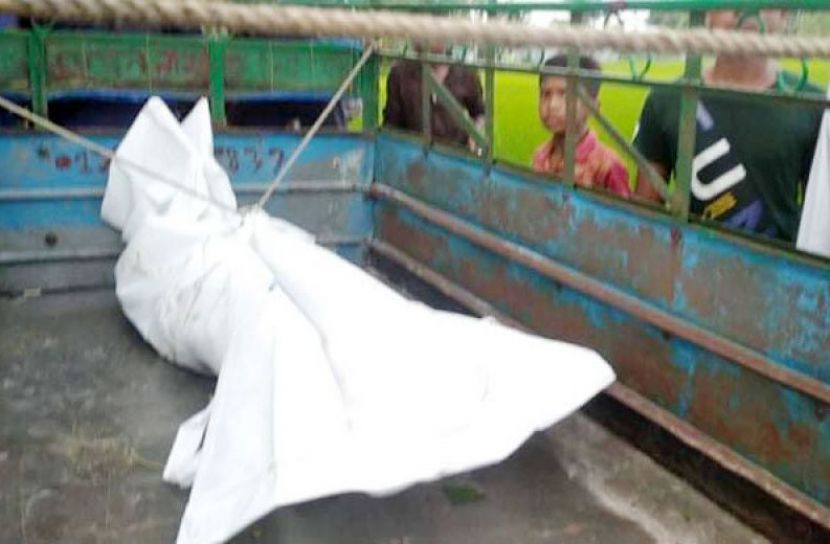 ফাইল ছবি