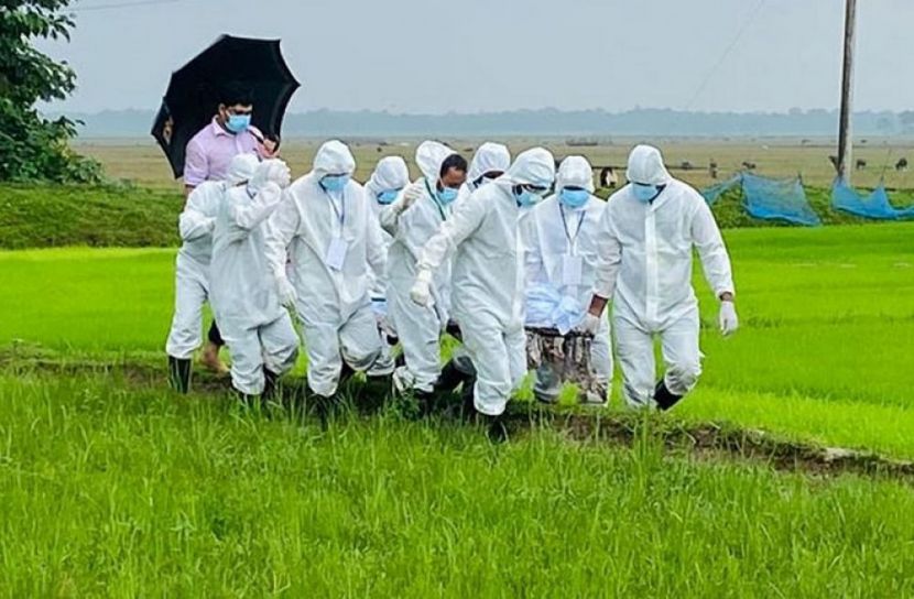 মৃত্যু