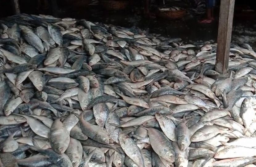 ছবি সংগৃহীত