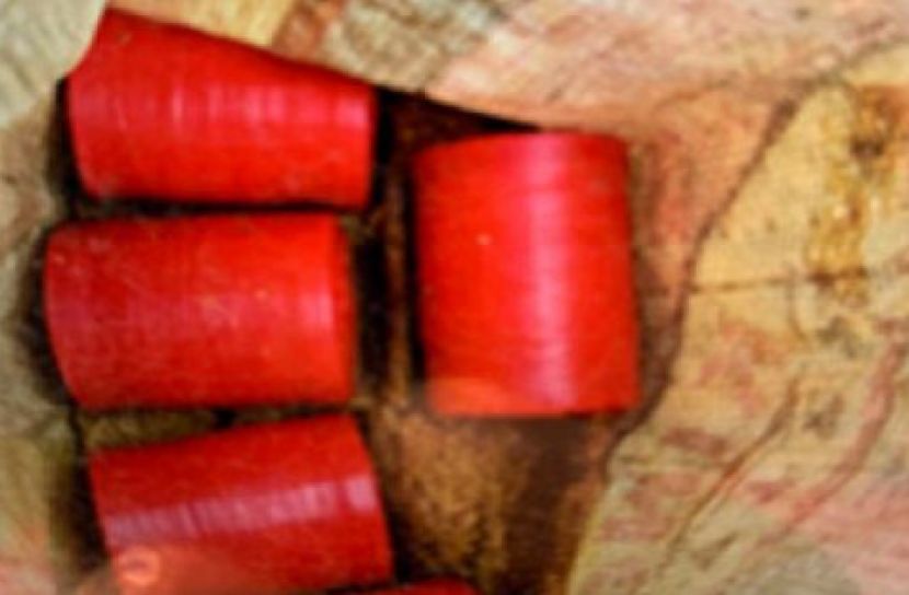 ছবি সংগৃহীত