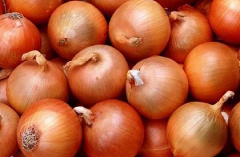 ফাইল ফটো