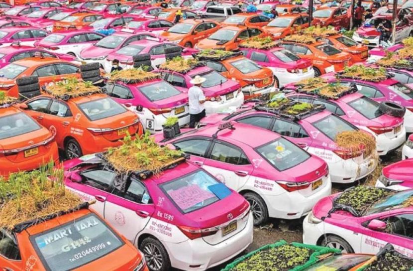 করোনায় গাড়ির ছাদে সবজি চাষ