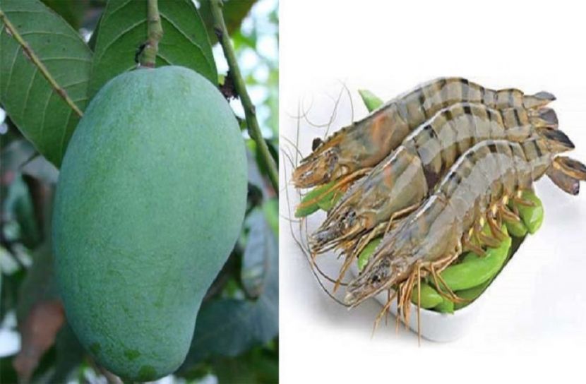 জিআই সনদ পাচ্ছে ফজলি-বাগদা