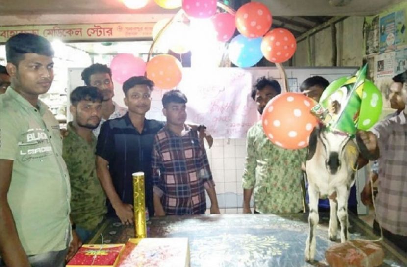 ছাগলের জন্মদিন পালন