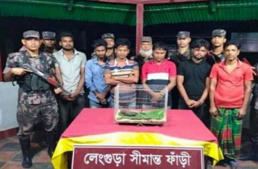 নেত্রকোনায় তক্ষকসহ আটক ৬