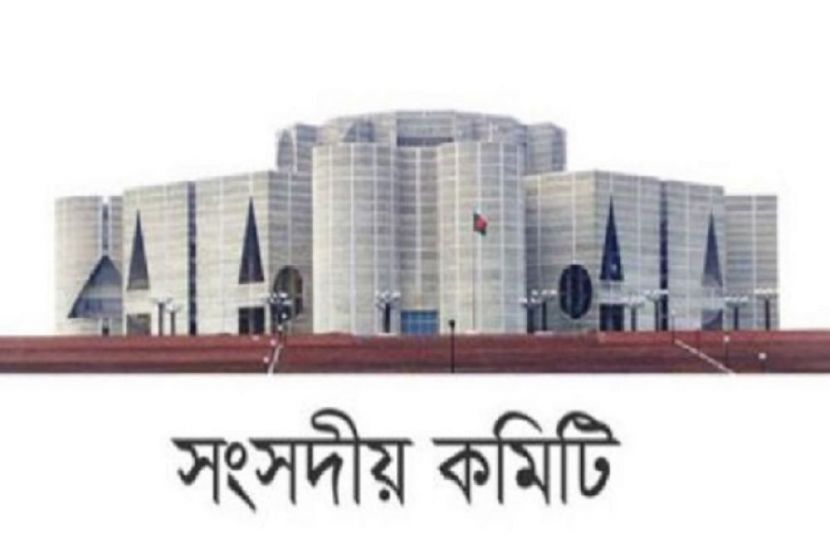 অভিজ্ঞ কর্মকর্তাদের প্রকল্পের দায়িত্ব দেওয়ার সুপারিশ