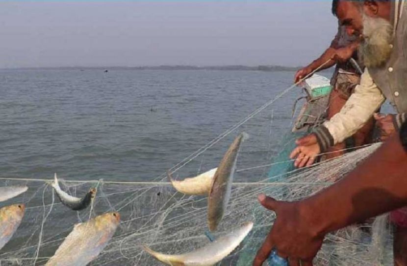 ইলিশ ধরা শুরু আজ