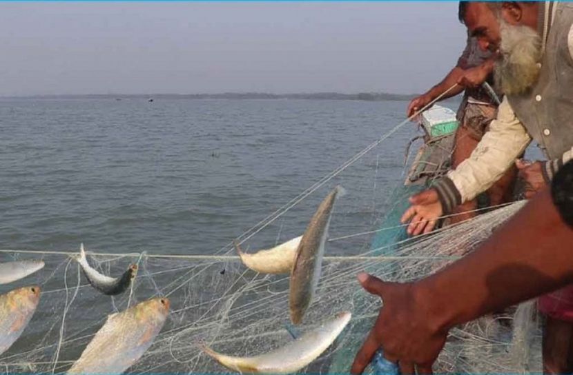 নিষেধাজ্ঞা কাটিয়ে ইলিশ শিকারে জেলেরা