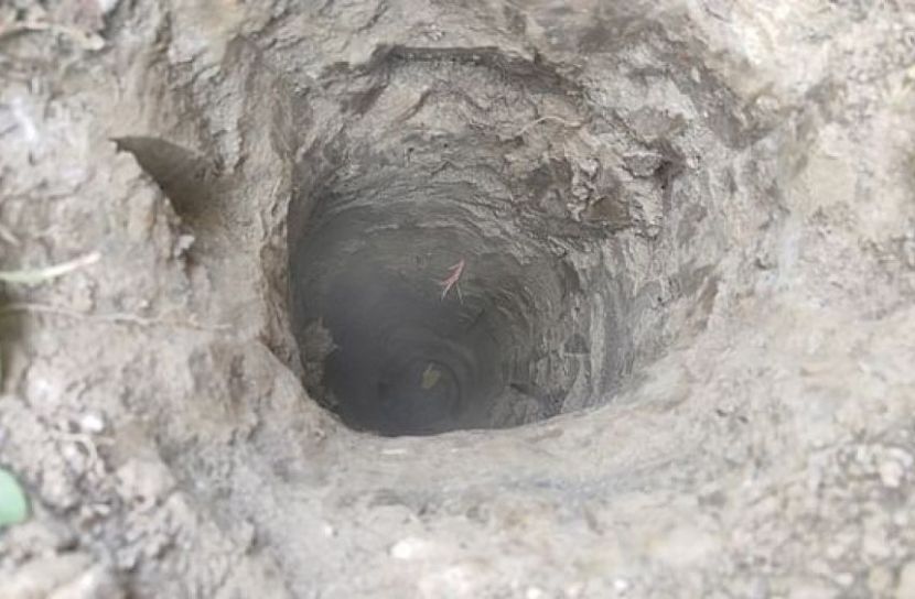 ছবি সংগৃহীত