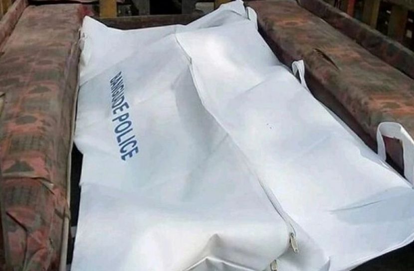 ফাইল ছবি