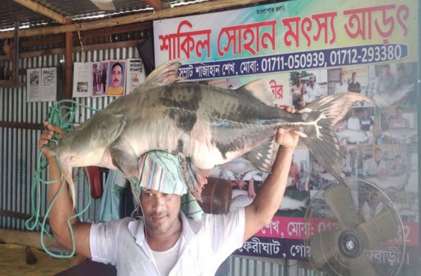 ছবি সংগৃহীত