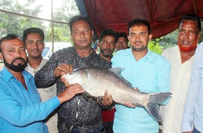 ছবি সংগৃহীত