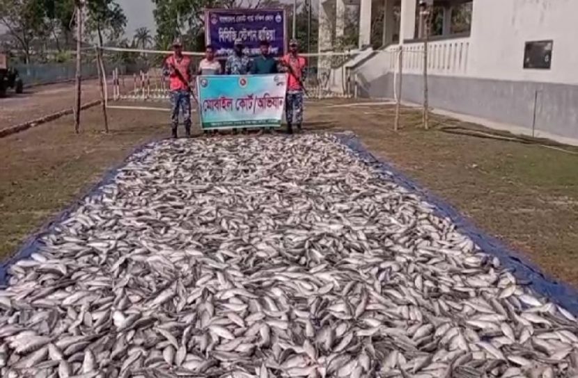 হাতিয়াতে ১০০ মণ জাটকা জব্দ   