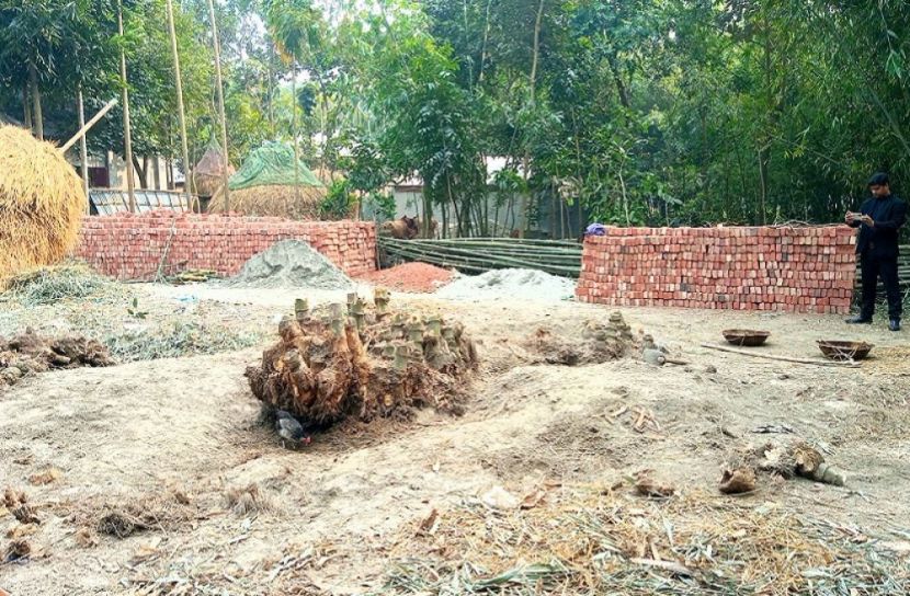 ছবি: সংগৃহীত